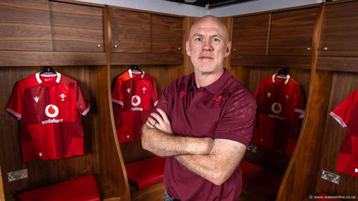 One year of Steve Tandy - the evidence, success and mistakes of a Wales coach