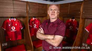One year of Steve Tandy - the evidence, success and mistakes of a Wales coach