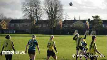 Football clubs criticise pitch rental price rise