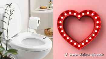 The 'smart loo' that spots HEART problems before you have any symptoms... and its makers claim it's just as good as an ECG