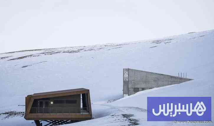 بذور المغرب في قبو "يوم القيامة"
