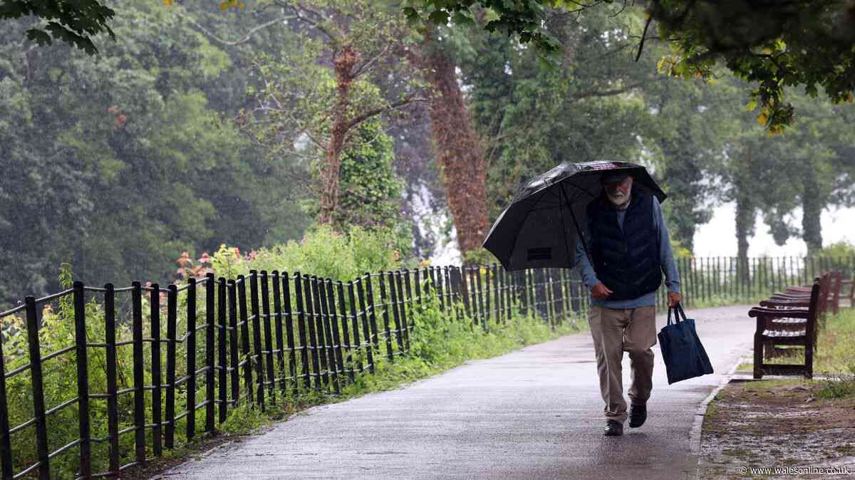 Met Office verdict on when it will rain next as hosepipe ban update issued
