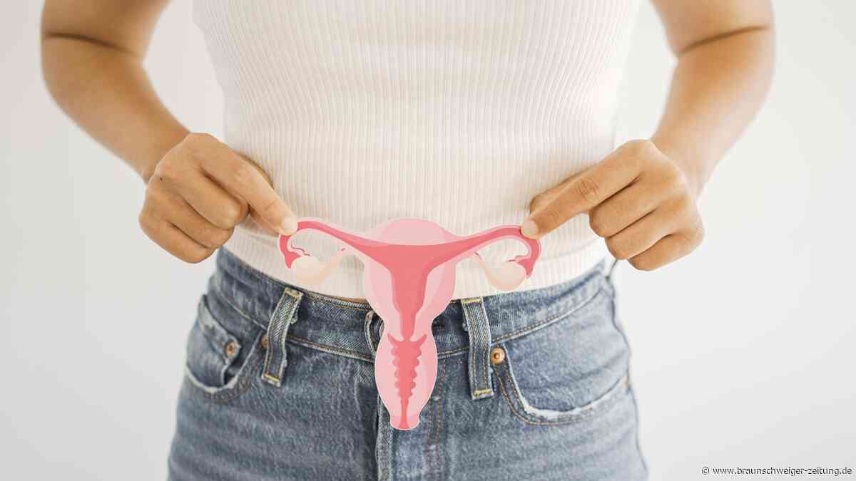 Studie: Eierstöcke arbeiten nach der Menopause weiter – was das bedeutet