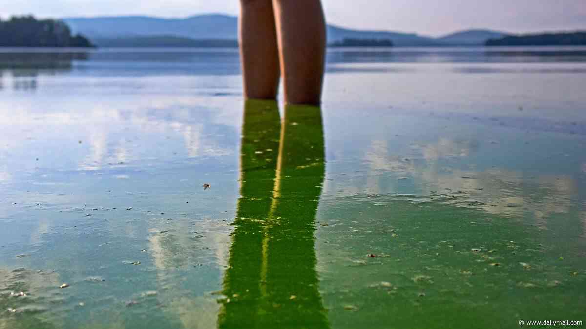 Toxins lurking in oceans now discovered to be airborne... posing dangerous health risk