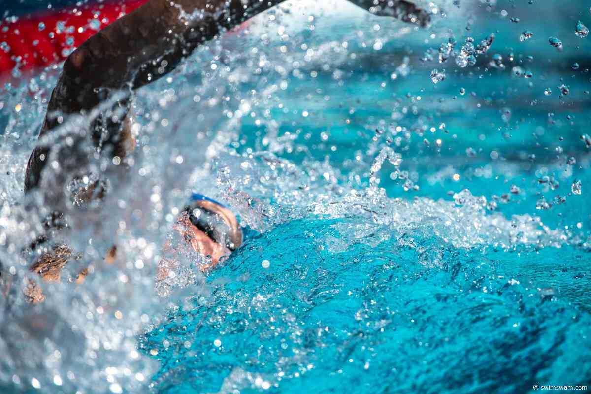 Generate Multi-Swimmer Reports in Seconds with Commit Swimming