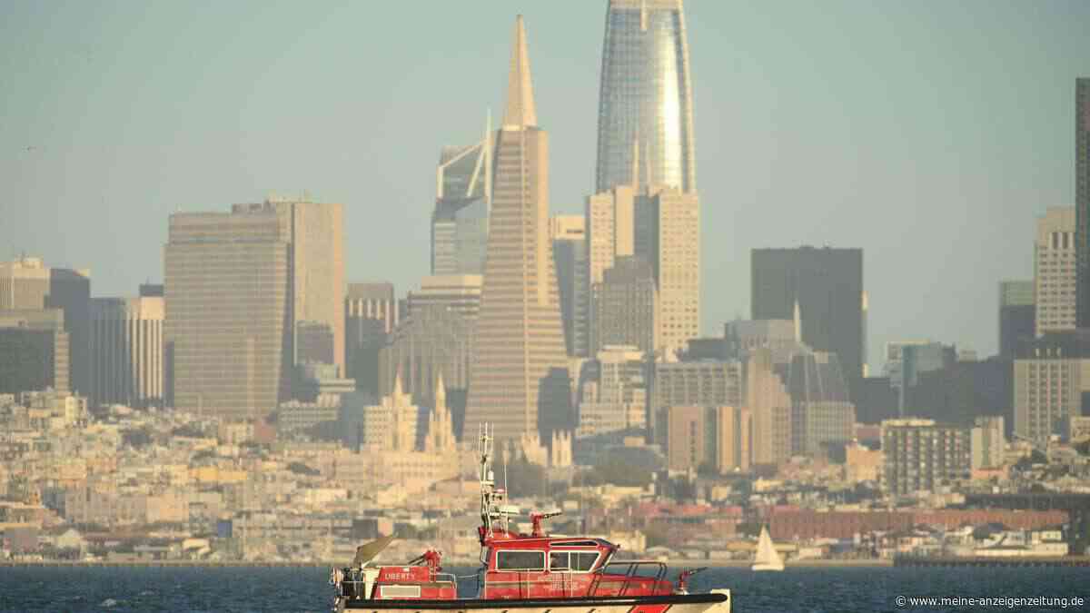 Fast zwei Wochen lang vermisst: Hündin wird schwimmend in der San-Francisco-Bucht entdeckt