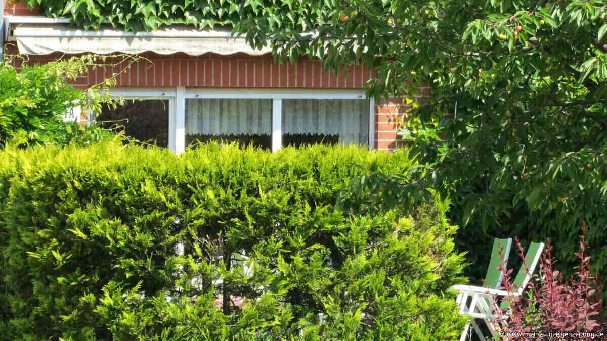 Nachbarn zu nah? Diese Sichtschutz-Ideen machen Ihren Garten zur Oase