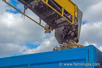 British Sugar plans to end Cantley beet processing