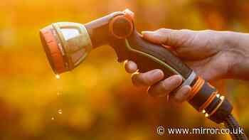 24 million homes now under hosepipe ban as Thames Water issues update