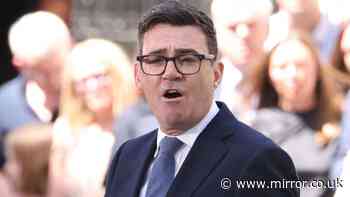 Watch Cabinet members arrive for Andy Burnham's first meeting as Angela Rayner makes return