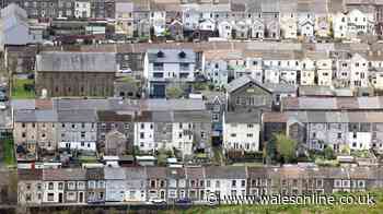 Councillors call for for higher standard of HMOs and landlords who 'give a damn'