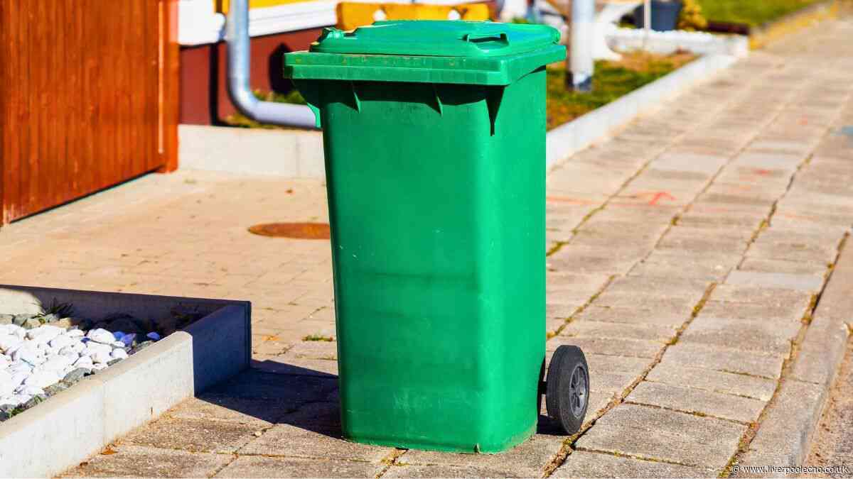 Wheelie bins will stay fresh and not smell even in hot weather if cleaned with 1 natural item