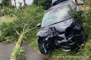 POL-HX: 67-Jährige prallt erst gegen Reh und dann gegen Baum