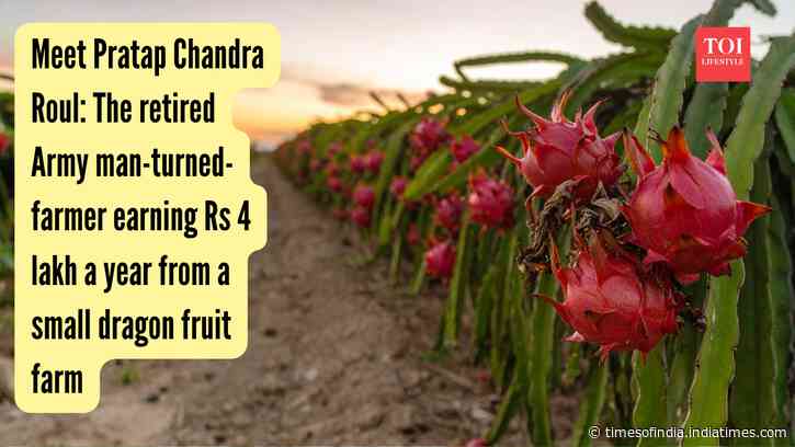 Meet Pratap Chandra Roul: The retired Army man-turned-farmer earning Rs 4 lakh a year from a small dragon fruit farm