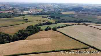 The 850-acre data centre which would dwarf idyllic Devon countryside