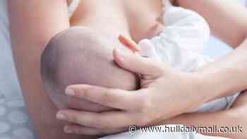 Breastfeeding through the eyes of Hull children inspires new art exhibition