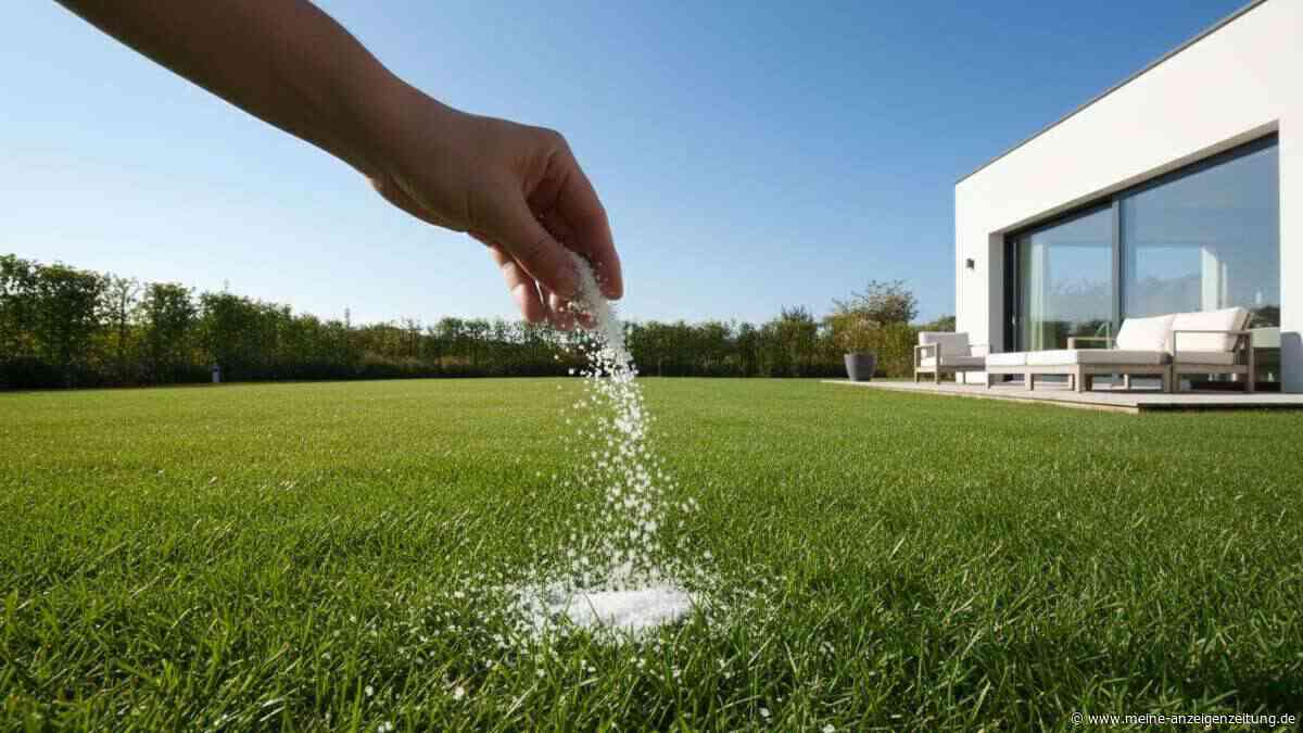 Zucker im Garten – darum schwören Gärtner auf diesen genialen Lifehack