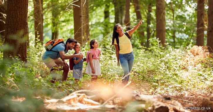 The best summer holiday money saving deals every parent needs to know about