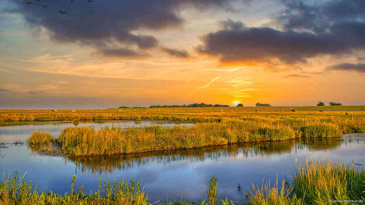 Sylt ist überteuert – dieser Ort an der Nordsee zeigt, wie es günstiger geht