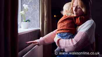 DWP say that there will be a Warm Home Discount again this year