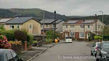 Armed police descend on Welsh town after reports of woman with machete