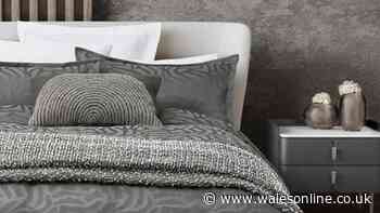 'You will sleep like a baby' in £30 Nicole Scherzinger bed set reduced from £100