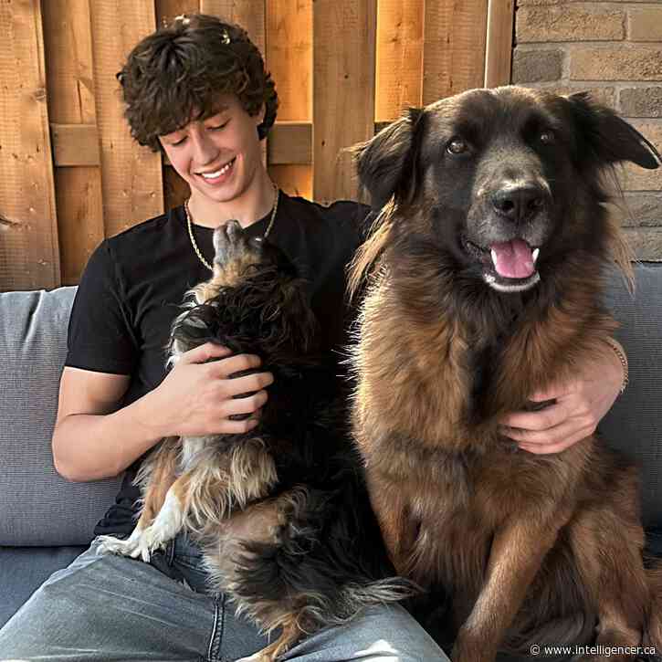 Quinte West teen building new rescue dog/doggy daycare centre
