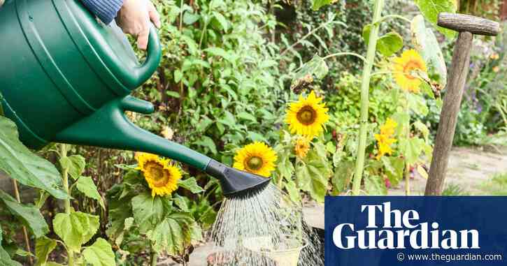 How can I water my garden in a hosepipe ban and will there be drought this summer?