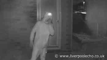 Footage shows brazen brothers during their crime spree