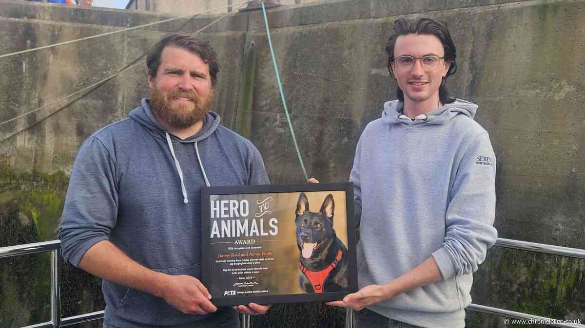 Northumberland tour boat crew who helped rescue dog from kayak blown out to sea receive award