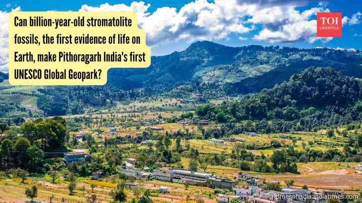 Can billion-year-old stromatolite fossils, the first evidence of life on Earth, make Pithoragarh India's first UNESCO Global Geopark?