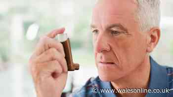New asthma medication update for patients using inhalers - including Clenil Modulite