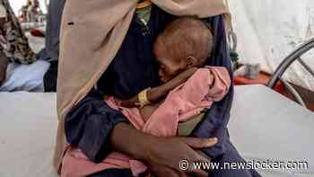 Wereldwijde honger voor het derde jaar op rij gedaald, Afrika wordt hardst geraakt