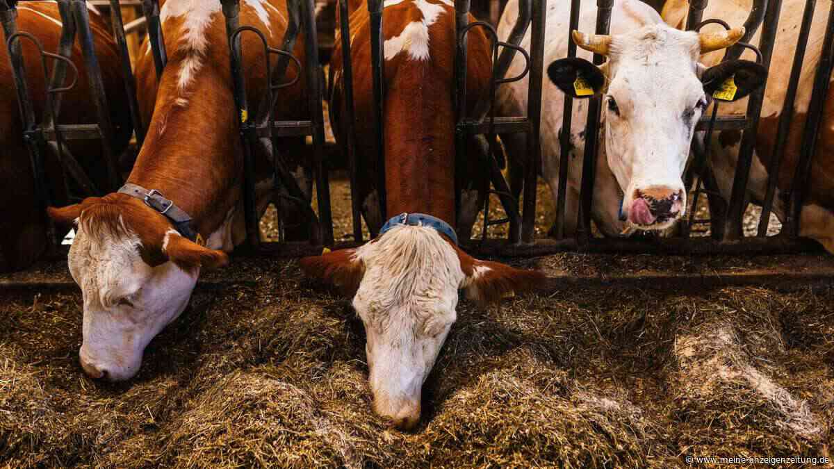 KI soll Landwirte unterstützen – aber nicht ersetzen