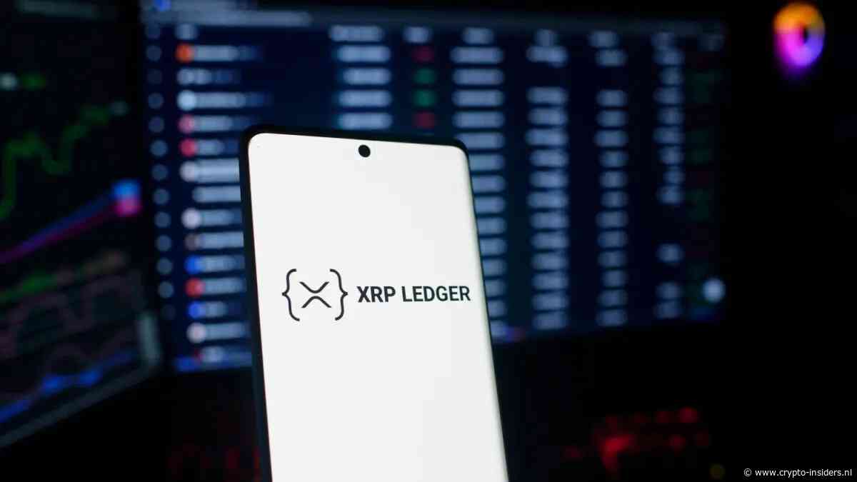 XRP-netwerk mogelijk goedkoper ondanks zorgen over veiligheid