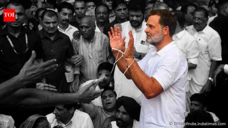 Rahul, Akhilesh, Priyanka detained from protest site near PM residence - top developments