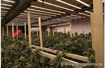 POL-REK: 260721-5: Cannabisplantage in Wohnhaus entdeckt