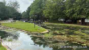 Business, boaters, and wildlife hit by canal closures
