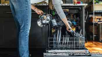 Dishwasher will be odour-free when 1 natural ingredient is put inside — no chemicals