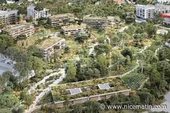 Espaces verts, nouveaux logements, poste de police municipale... Ce vaste projet à Antibes a été voté à l’unanimité par les élus en conseil municipal