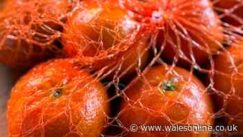 Never throw away fruit net packaging, instead use it in your garden in July