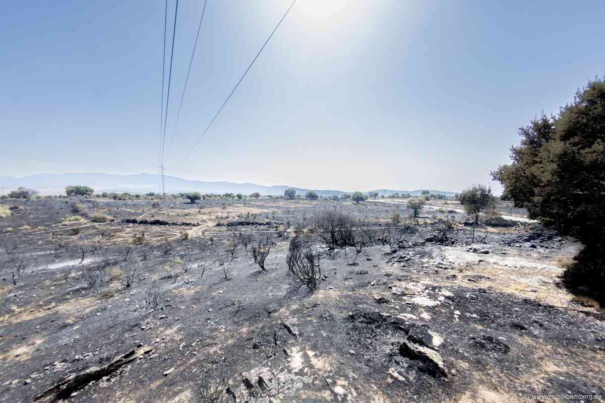 Erfolge im Kampf gegen großen Waldbrand bei Madrid