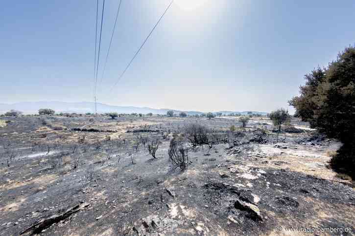 Erfolge im Kampf gegen großen Waldbrand bei Madrid