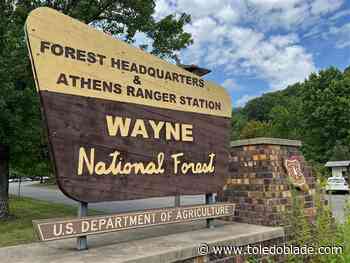 Feds advance plan to open 2,800 acres of Ohio’s Wayne National Forest to fracking