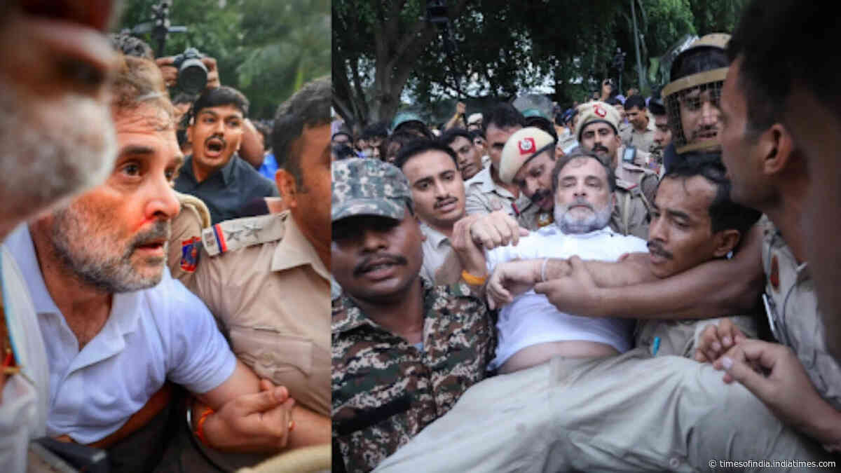 Watch: Rahul Gandhi dragged away, forcibly removed from protest site; pics show nosebleed