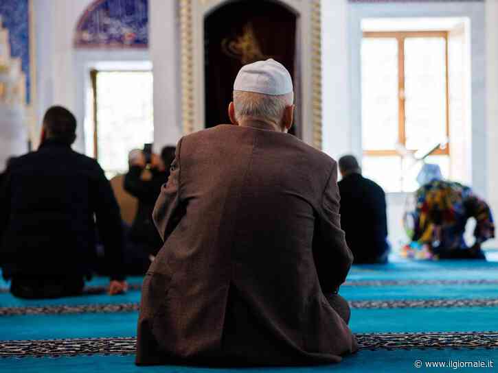 Tagliate quattro cattedre di Teologia cattolica, ma è salva la nuova facoltà islamica: bufera in Germania