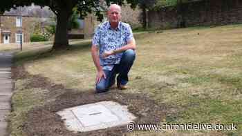 Gateshead man slams broadband cover which has 'ruined' grass verge outside his home
