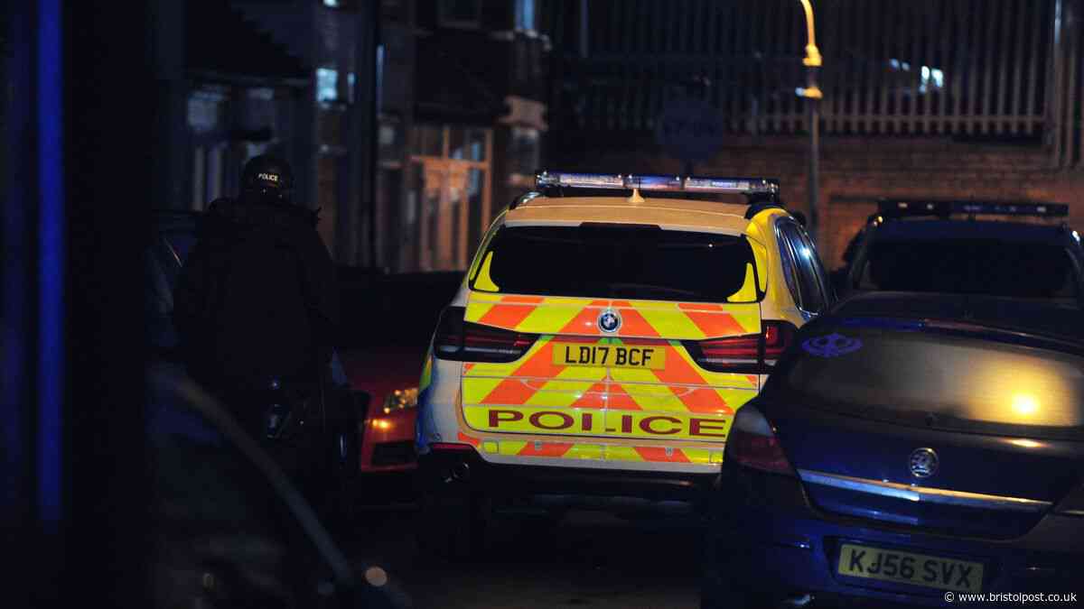 Walking stick sparks armed police response in quiet village