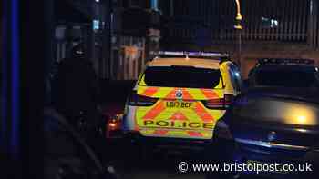 Walking stick sparks armed police response in quiet village