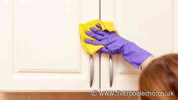 'Kitchen cabinets will be spotlessly clean with 2-minute method — zero effort'